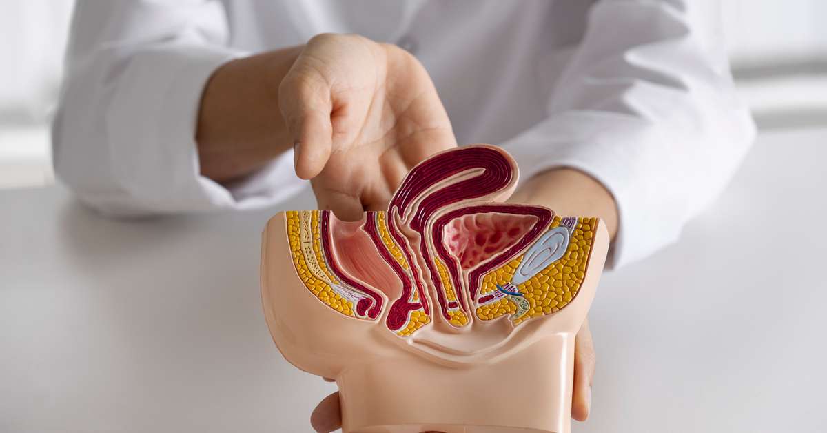 Dia do Urologista: Porto Dias alerta para cuidados