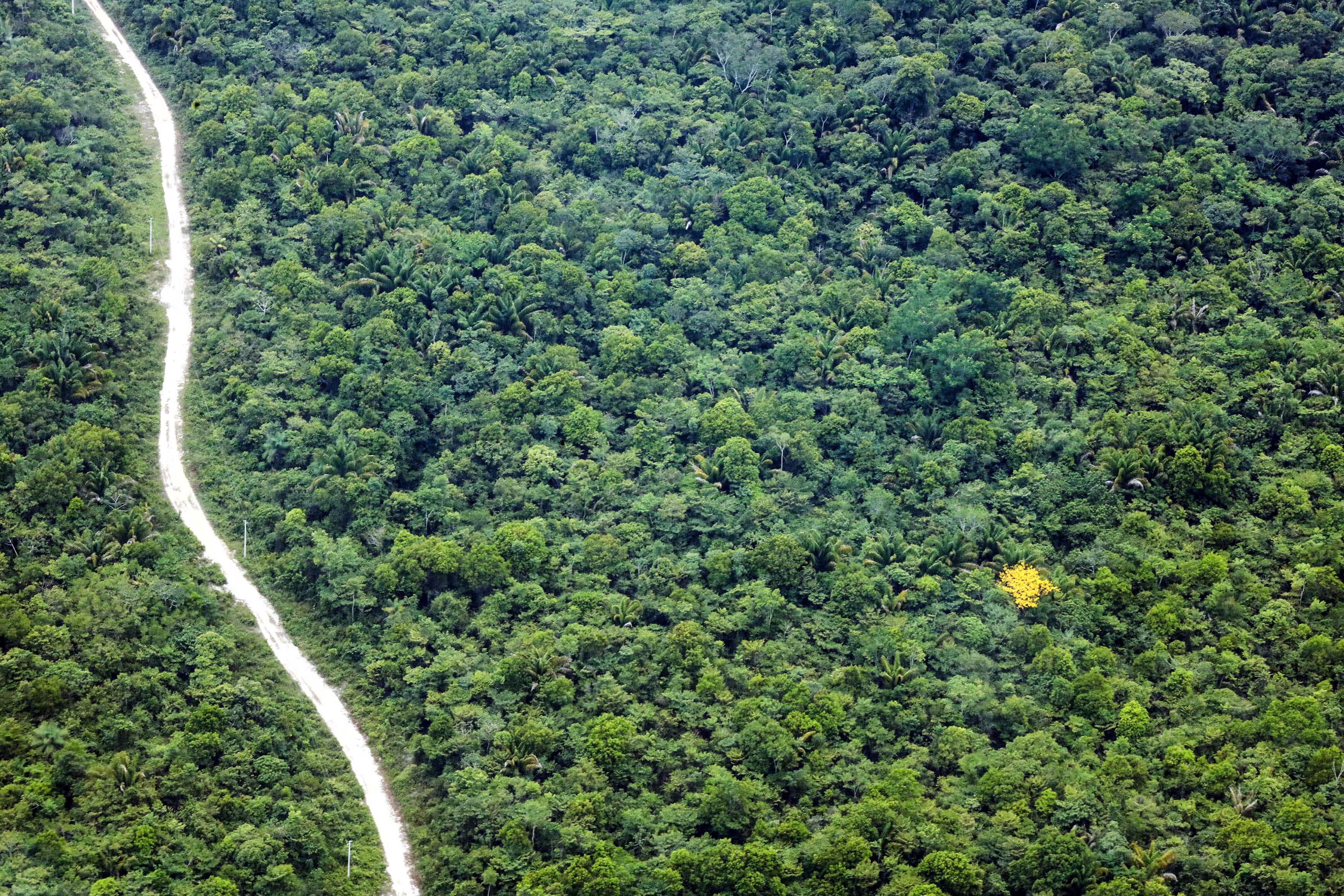 Desmatamento na Amazônia e no Cerrado atinge menor nível da série histórica