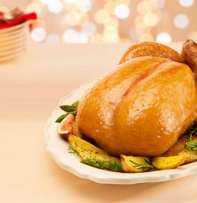 Veja imagens de como é um Chester vivo