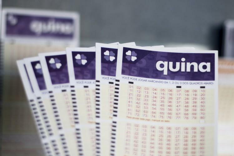 Quina 6628: veja o resultado e os números sorteados hoje (10/01 ...
