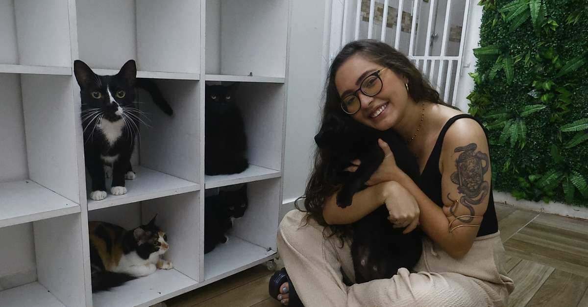 Dia Mundial do Gato: saiba como esses felinos contribuem para o bem-estar de seus tutores
