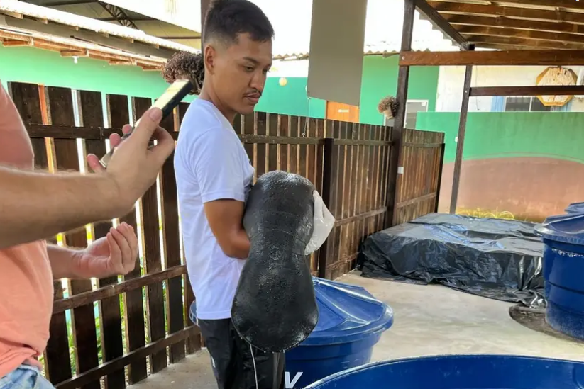 Divulgação
