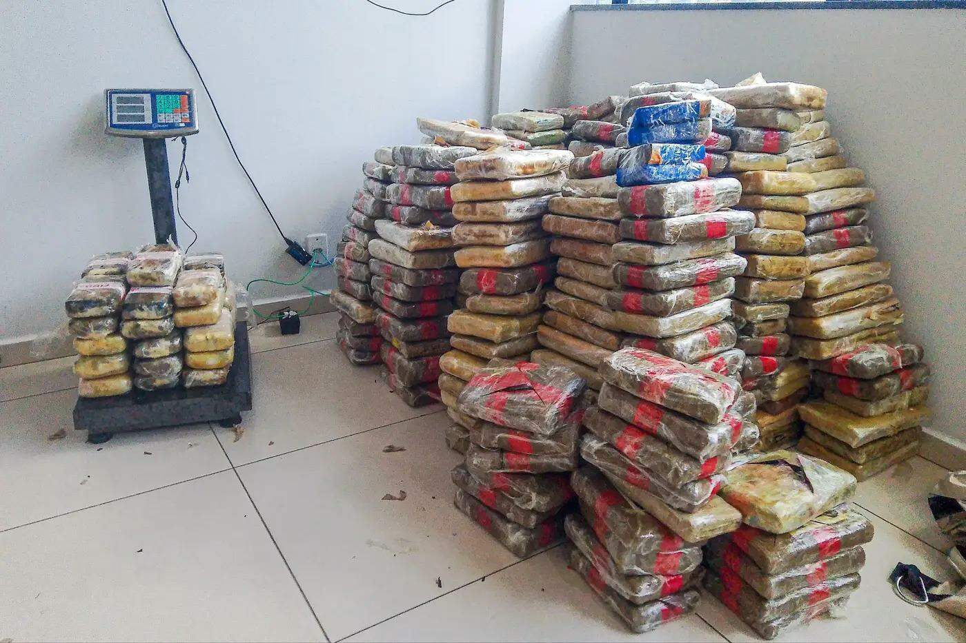 Quase 500 quilos de drogas apreendidos na ilha do Marajó são periciados pela Polícia Científica