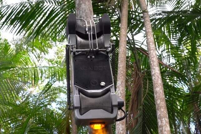 'Açaibot' é um robô apanhador de açaí que deve ser a grande novidade da safra em 2025