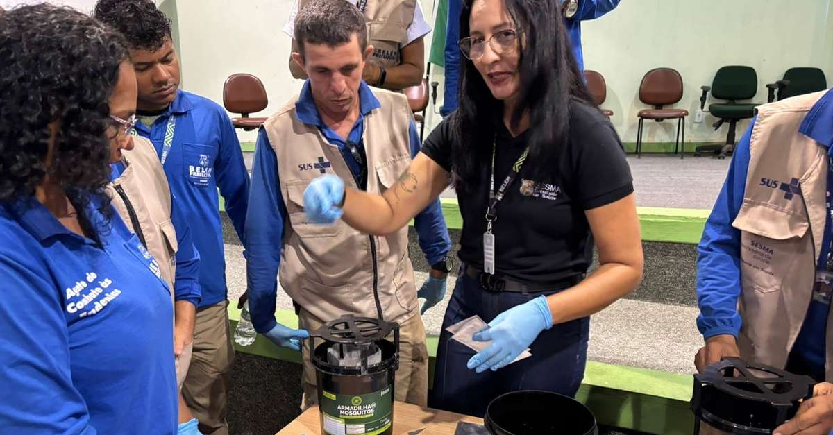 Revolução no Combate à Dengue: Belém Inova com Armadilhas Inteligentes que Usam o Mosquito Contra Ele Mesmo