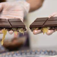 Chocolat et cupuaçu Faire des opérateurs à partir du pará