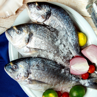 Peixe cru, colocado no prato com cebola limão tomate cereja e gelo.