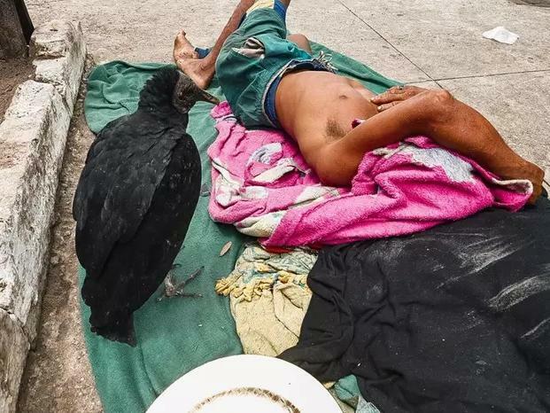 MPF pede multa de mais de R$ 350 mil contra Prefeitura de Belém por ignorar população de rua.