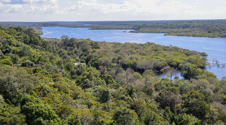 Parte da Amazônia vista de cima.
