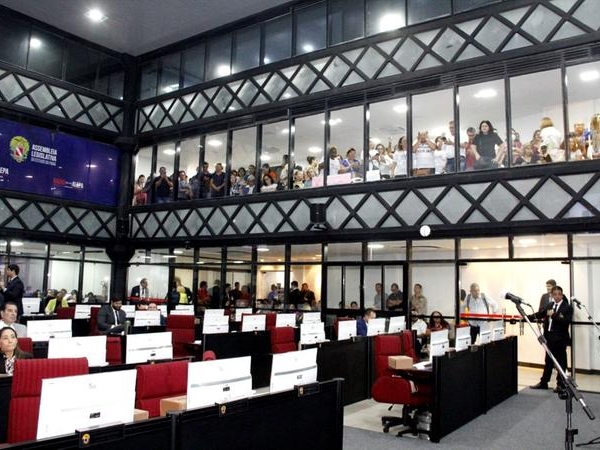 Alepa também aprecia proposta que declara a obra literária da doutora em ciências sociais, professora Zélia Amador de Deus, como patrimônio cultural e imaterial do Pará