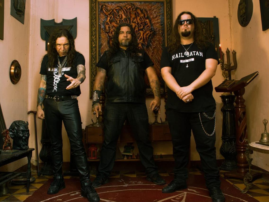 A formação atual da Disgrace and Terror é composta por Aldyr Souza, na bateria; Roterdam Marinho, no baixo e vocal; e Vinicius Palmeira, na guitarra e backing vocal