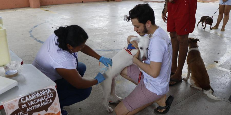 Belém realiza vacinação antirrábica no Jurunas neste sábado (17)