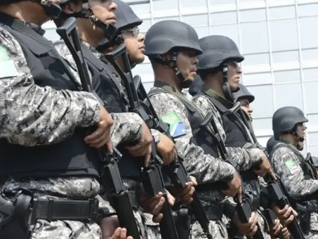 O pedido foi relatado pelo presidente do TRE-PA, desembargador José Maria Teixeira do Rosário. Segundo o tribunal, o Governo do Pará foi consultado e concordou com o envio das tropas federais para atuar de forma complementar às forças estaduais de segurança. A decisão considerou as avaliações operacionais da Polícia Militar e da Secretaria de Estado de Segurança Pública e Defesa Social (Segup).