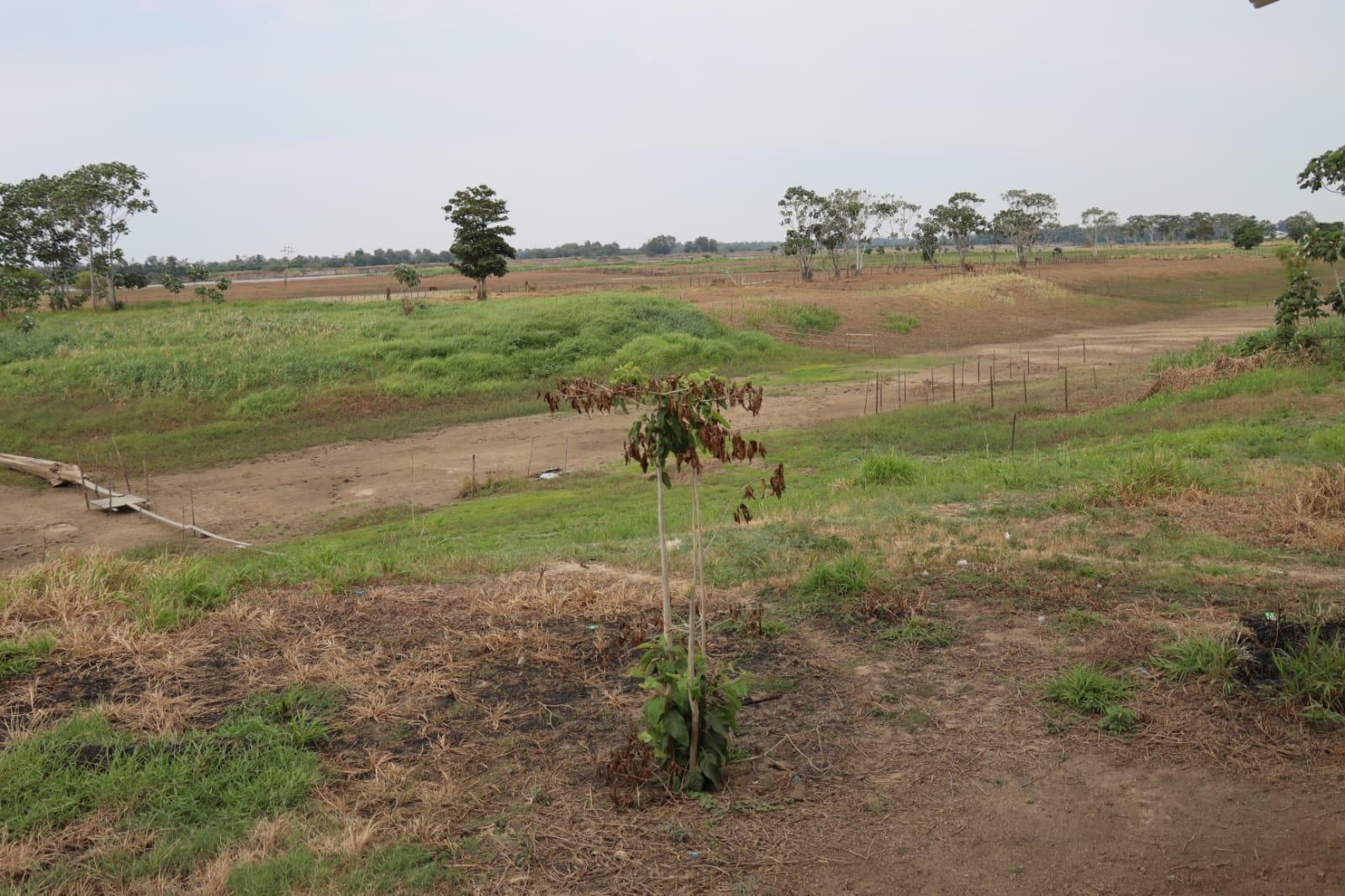 A imagem em destaque mostra uma área verde do município de Óbidos.