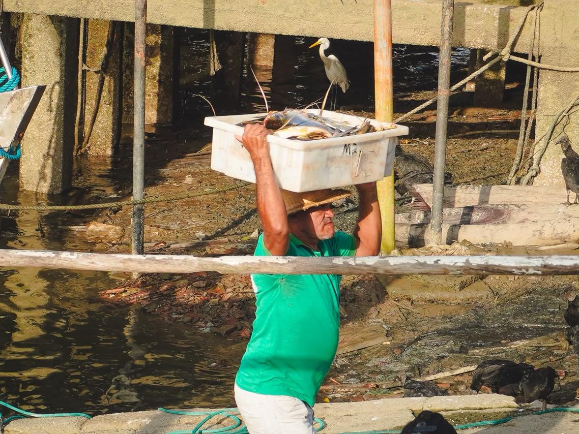 Exposição em Vigia destaca saberes e tradições da pesca artesanal