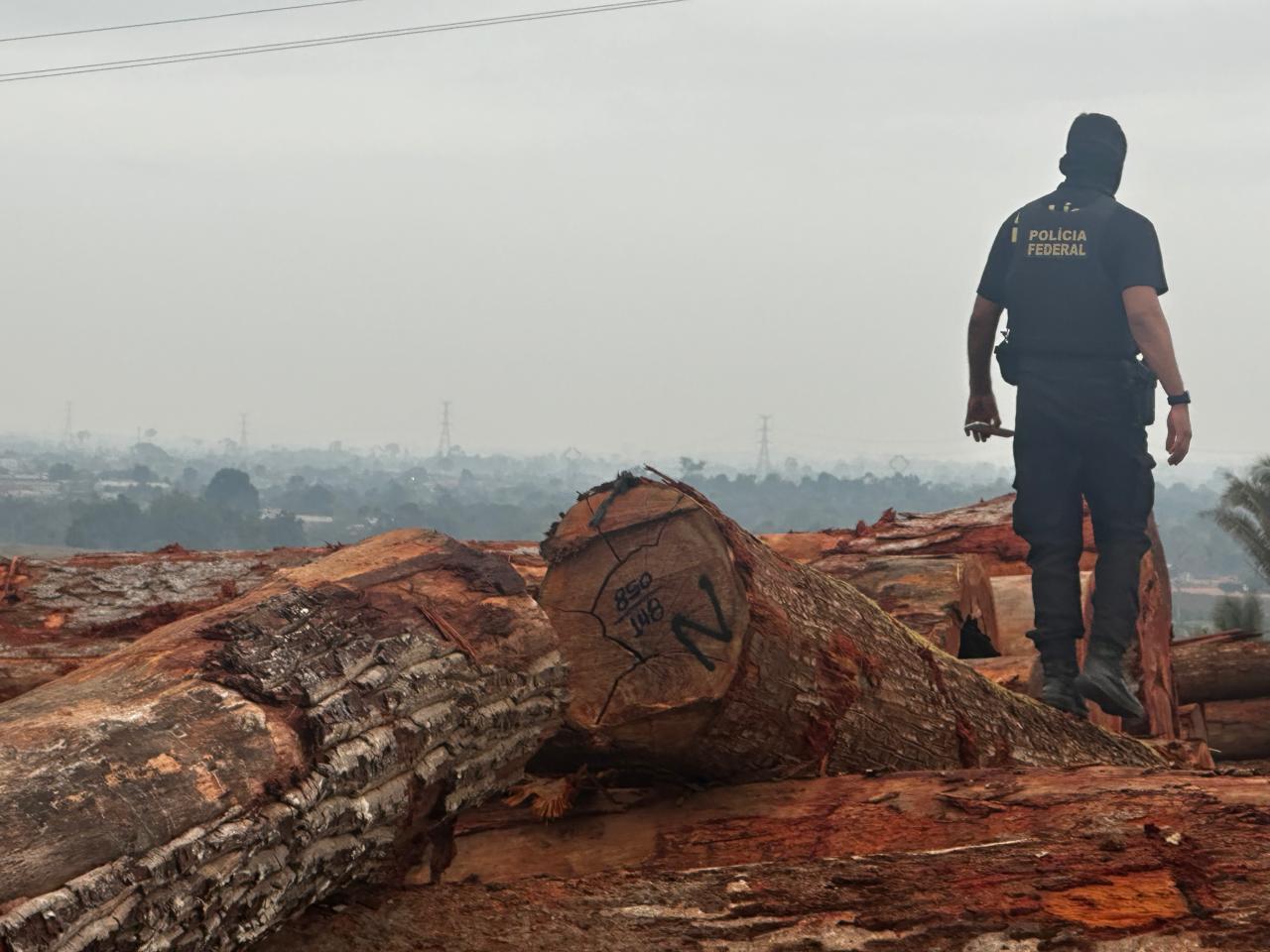 Durante a ação, foram cumpridos 5 mandados de busca e apreensão, dos quais três foram executados em serrarias no município de Anapu, um em uma madeireira em São Domingos do Araguaia e um no endereço vinculado a um dos investigados
