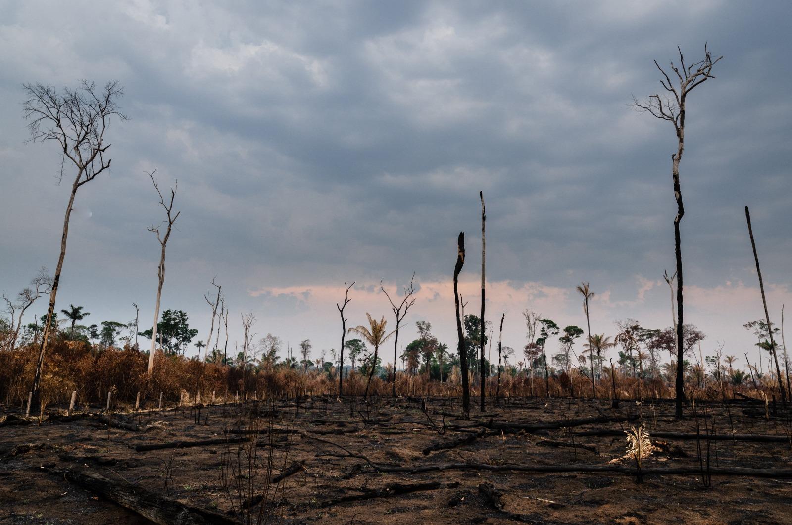 A imagem mostra Altamira, no sudoeste do Estado, que é a cidade brasileira com o maior número de focos de incêndio em 2026