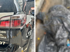 Corpos encontrados em SP: 10 autores de 4 das 17 mortes são identificados pela polícia