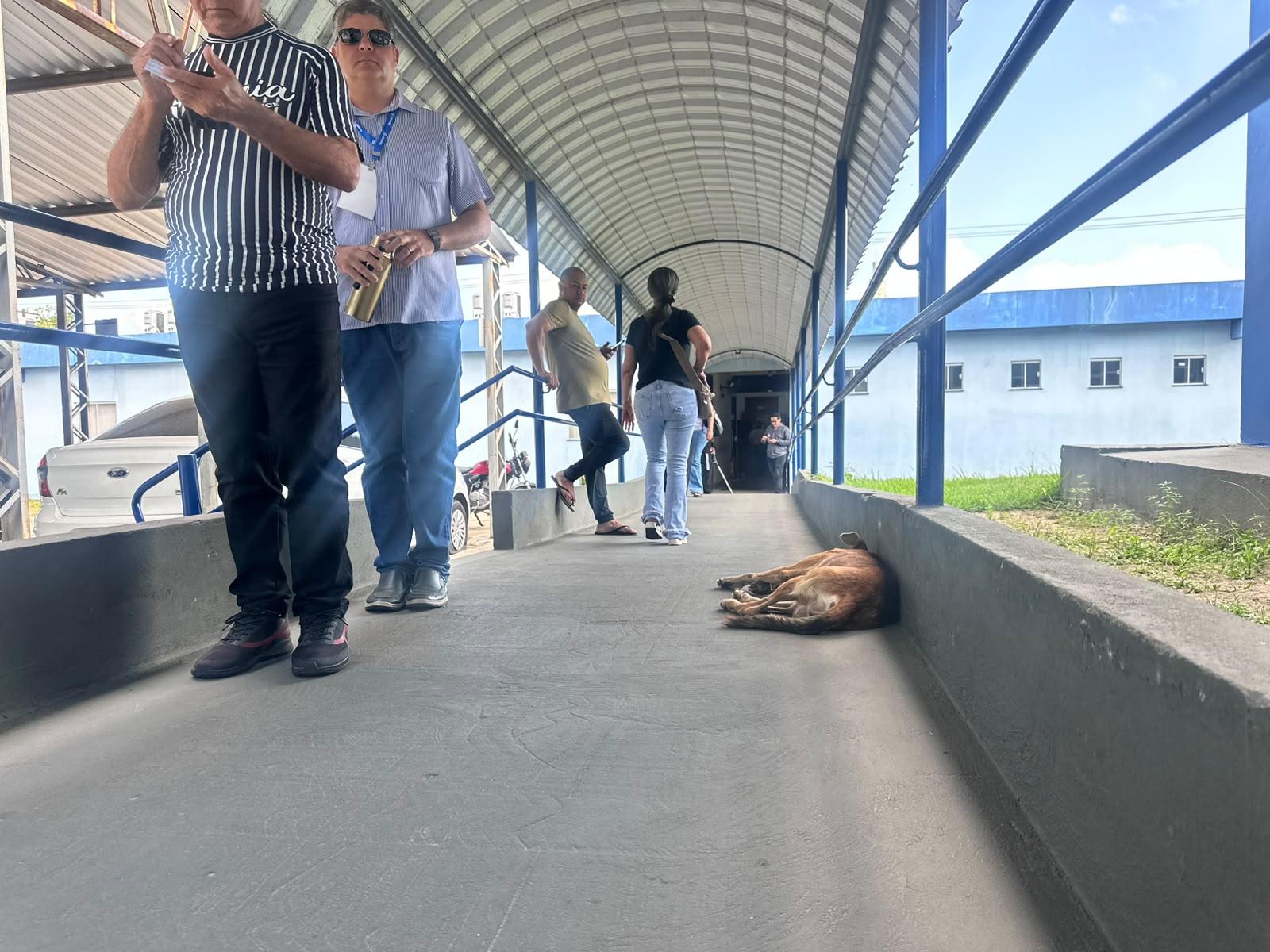 (Foto: Patrícia Baía | Especial para O Liberal)