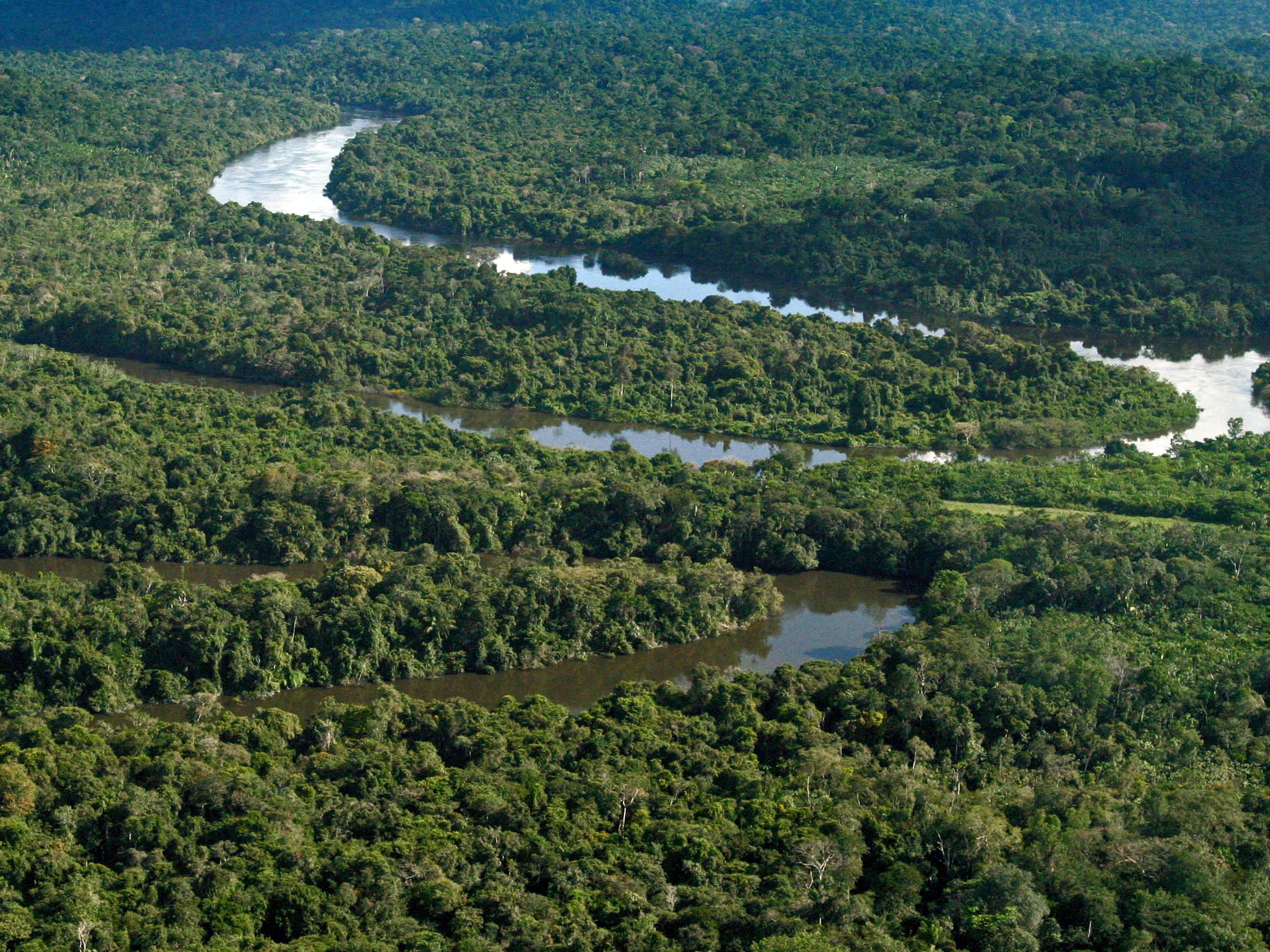 Imagem aérea de área da floresta amazônica