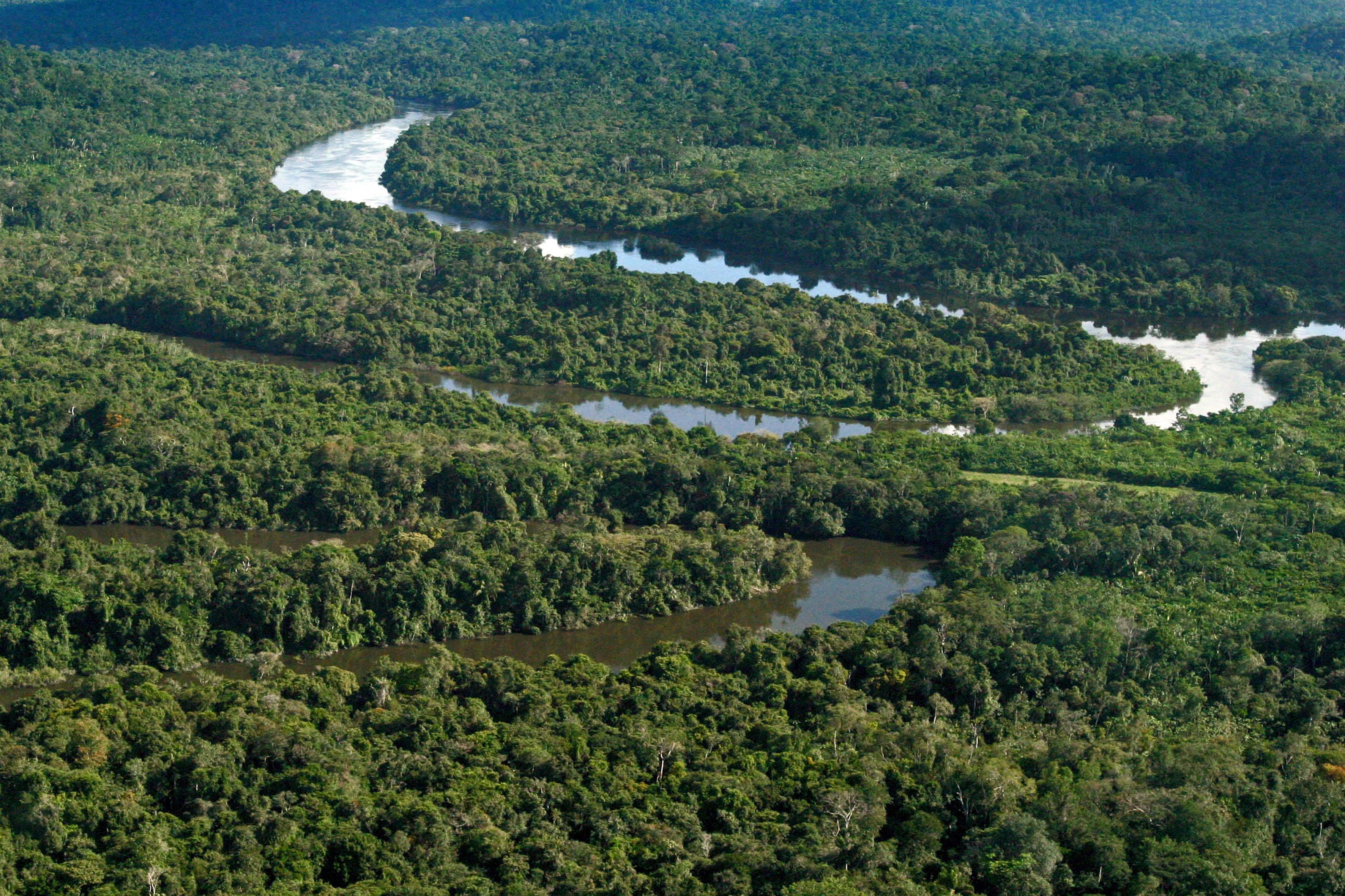 Imagem aérea de área da floresta amazônica
