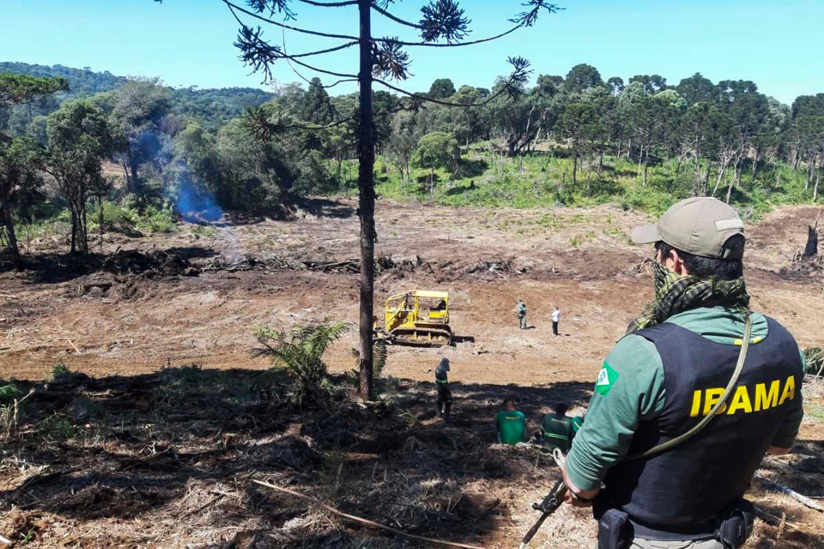 O desmatamento, mesmo em tempos de pandemia, não para de crescer na Amazônia
