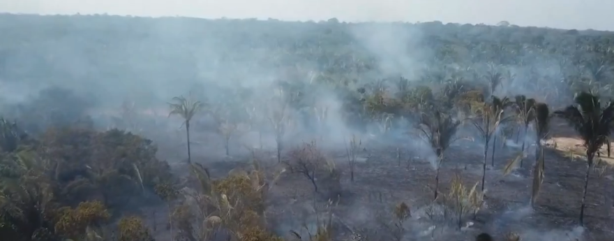 Sul do Amazonas é afetado por focos de calor