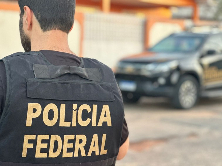 Polícia Federal, Ibama, Funai, Força Nacional e Adepará retiraram da Terra Indígena Apyterewa, 191 bovinos, sete búfalos e 25 cavalos, cujo dono levava para fazer pastagem à noite