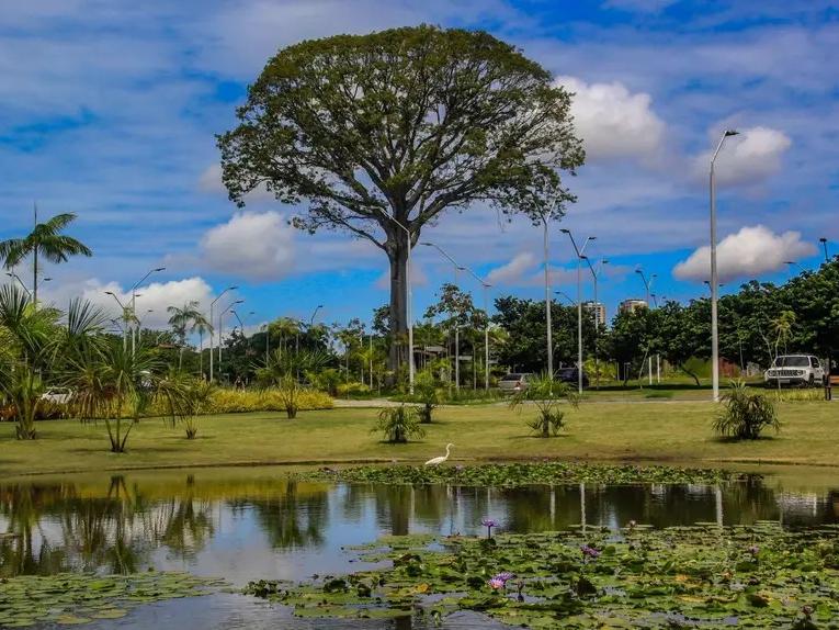 O Parque Estadual do Utinga Camillo Vianna.